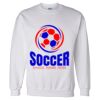 Unisex DryBlend® Crewneck Sweatshirt Thumbnail