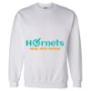 Unisex DryBlend® Crewneck Sweatshirt Thumbnail