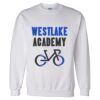 Unisex DryBlend® Crewneck Sweatshirt Thumbnail