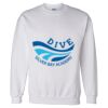 Unisex DryBlend® Crewneck Sweatshirt Thumbnail