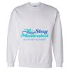 Unisex DryBlend® Crewneck Sweatshirt Thumbnail