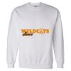 Unisex DryBlend® Crewneck Sweatshirt Thumbnail