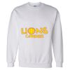 Unisex DryBlend® Crewneck Sweatshirt Thumbnail