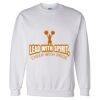 Unisex DryBlend® Crewneck Sweatshirt Thumbnail