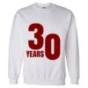 Unisex DryBlend® Crewneck Sweatshirt Thumbnail
