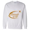 Unisex DryBlend® Crewneck Sweatshirt Thumbnail