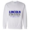 Unisex DryBlend® Crewneck Sweatshirt Thumbnail