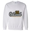 Unisex DryBlend® Crewneck Sweatshirt Thumbnail